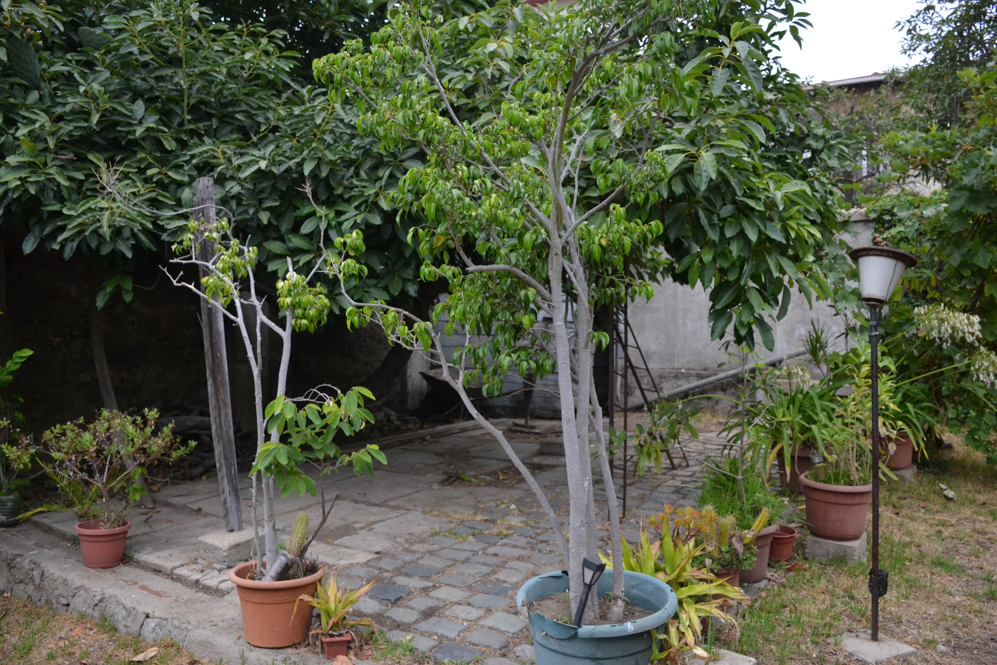 Resultados de Nuestro Trabajo